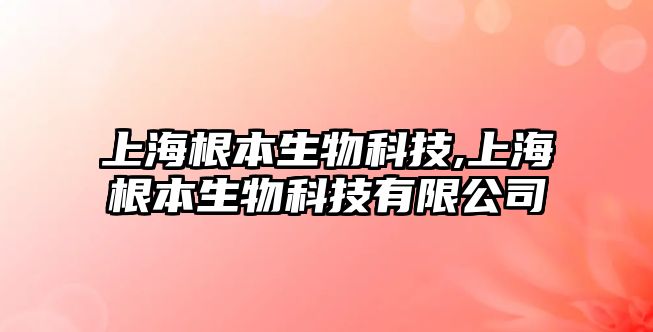 玉翠科技網