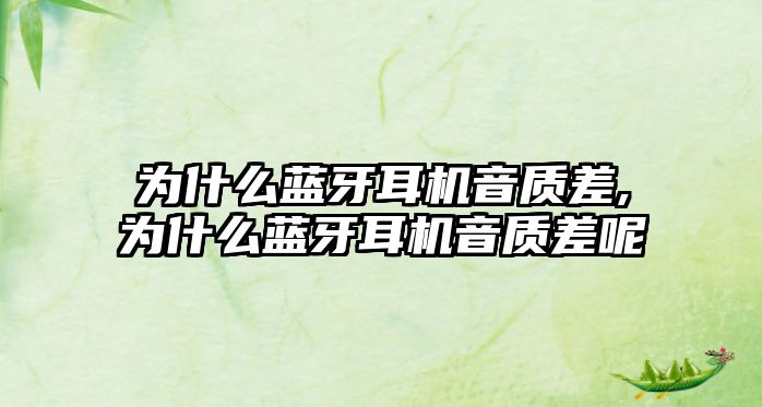為什么藍(lán)牙耳機(jī)音質(zhì)差,為什么藍(lán)牙耳機(jī)音質(zhì)差呢