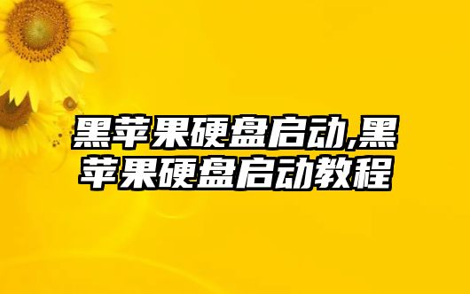 黑蘋果硬盤啟動,黑蘋果硬盤啟動教程