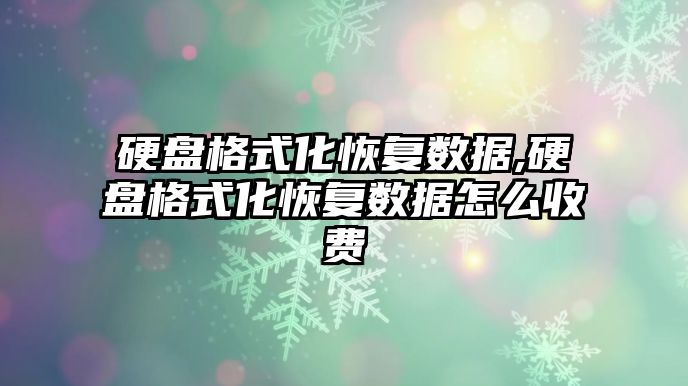硬盤(pán)格式化恢復(fù)數(shù)據(jù),硬盤(pán)格式化恢復(fù)數(shù)據(jù)怎么收費(fèi)