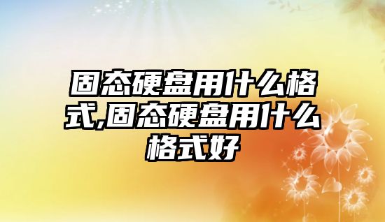 固態(tài)硬盤用什么格式,固態(tài)硬盤用什么格式好