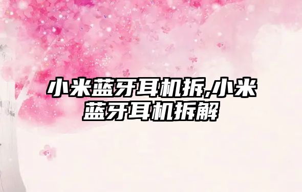 小米藍牙耳機拆,小米藍牙耳機拆解